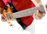 Intro to the Guitar