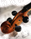 Intro to the Violin