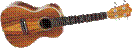Intro to the Ukulele