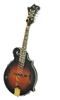 Mandolin graphic