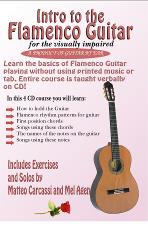 Intro to the Flamenco Guitar Graphic