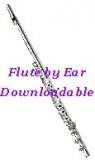 Intro to the Flute for the Visually Impaired (Downloadable)