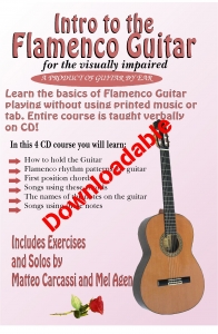 Intro to the Flamenco Guitar for the Visually Impaired (Downloadable)